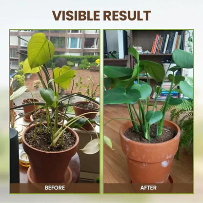 🔥Soil Activator | Fix Soil Structure Balance pH Improve Nutrient Availability for Healthy Thriving Plants