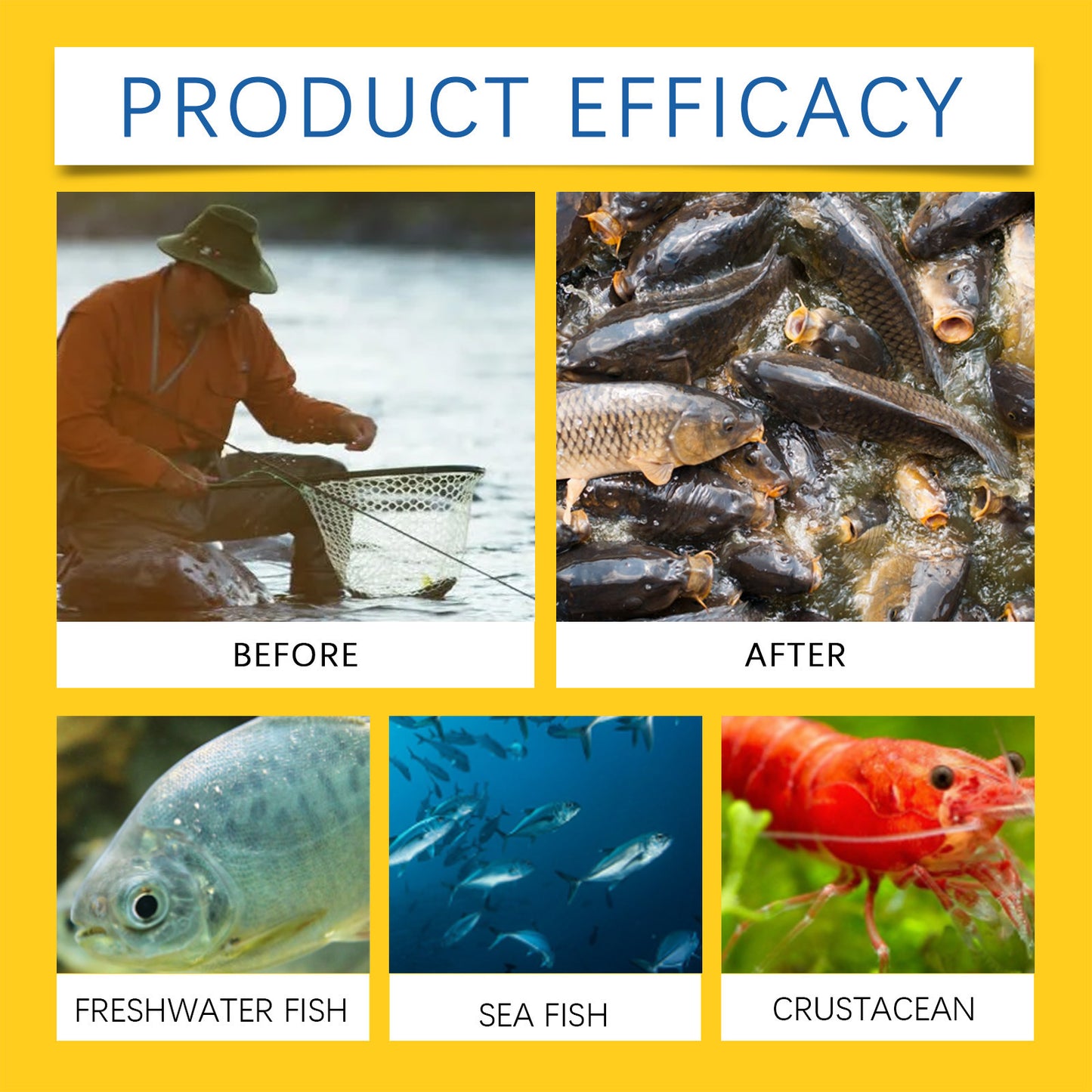 Red Worm Bait Agent Bait-Fish Attractant & Feed Booster
