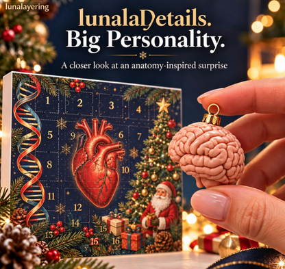 🫀Anatomy Christmas Advent Calendar – Unique Organ-Shaped Ornaments & Holiday Surprises for Nurses, Medical Students & Science Lovers