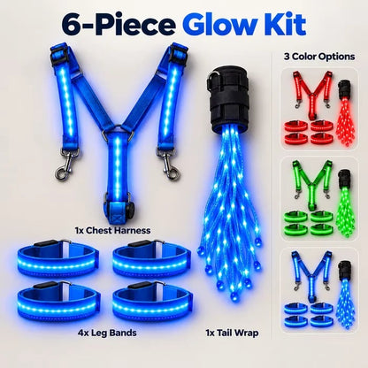 🔥HOT SALE 49% OFF - 🌟 LED Equestrian Glow Safety Kit | Ride Safely Beyond Sunset 🐎