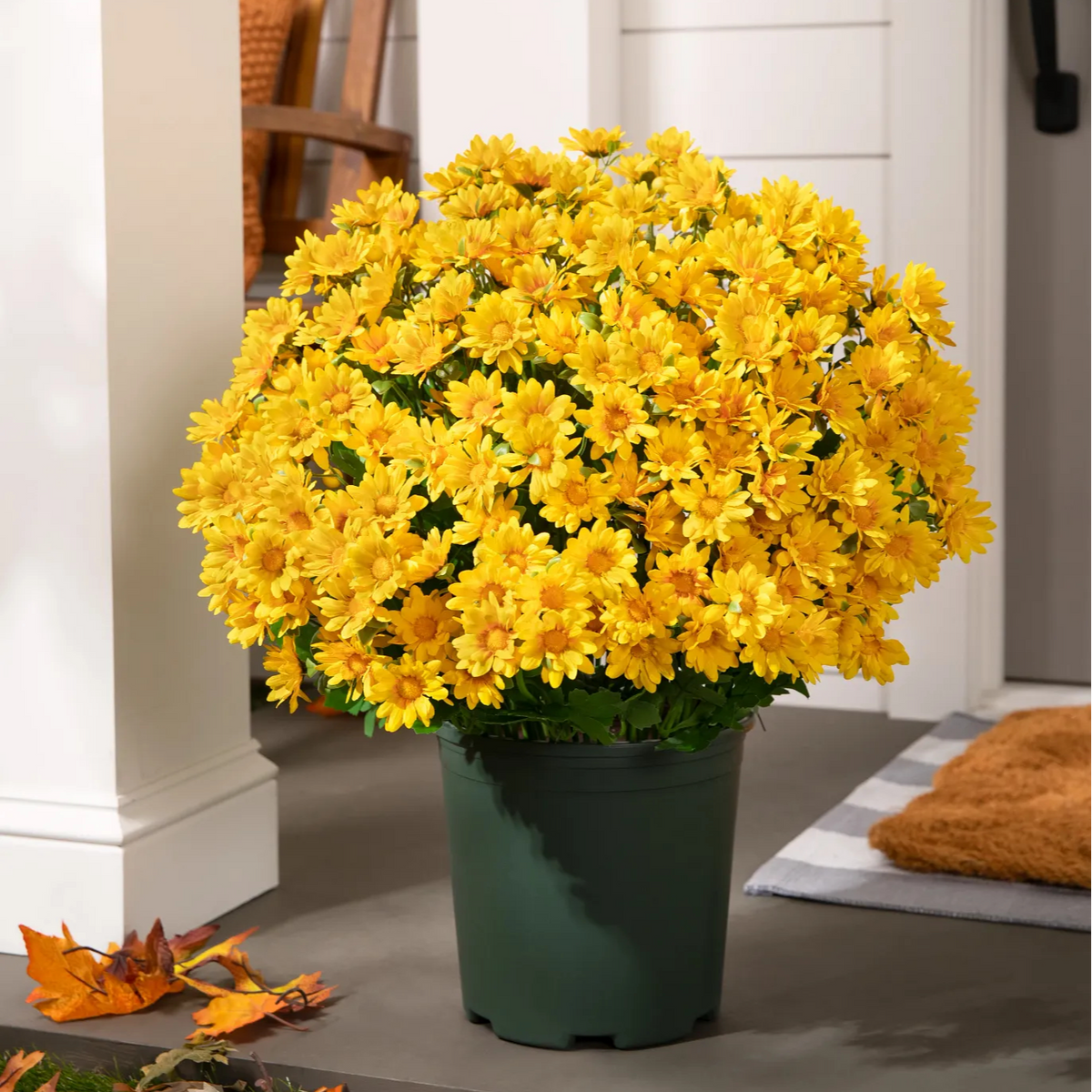 🌼Artificial Outdoor Sunset Mums Flowers - UV resistant, Waterproof, Windproof