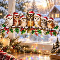 🦉 Christmas Owls