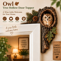 🦉Owl