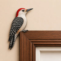 Woodpecker Bird