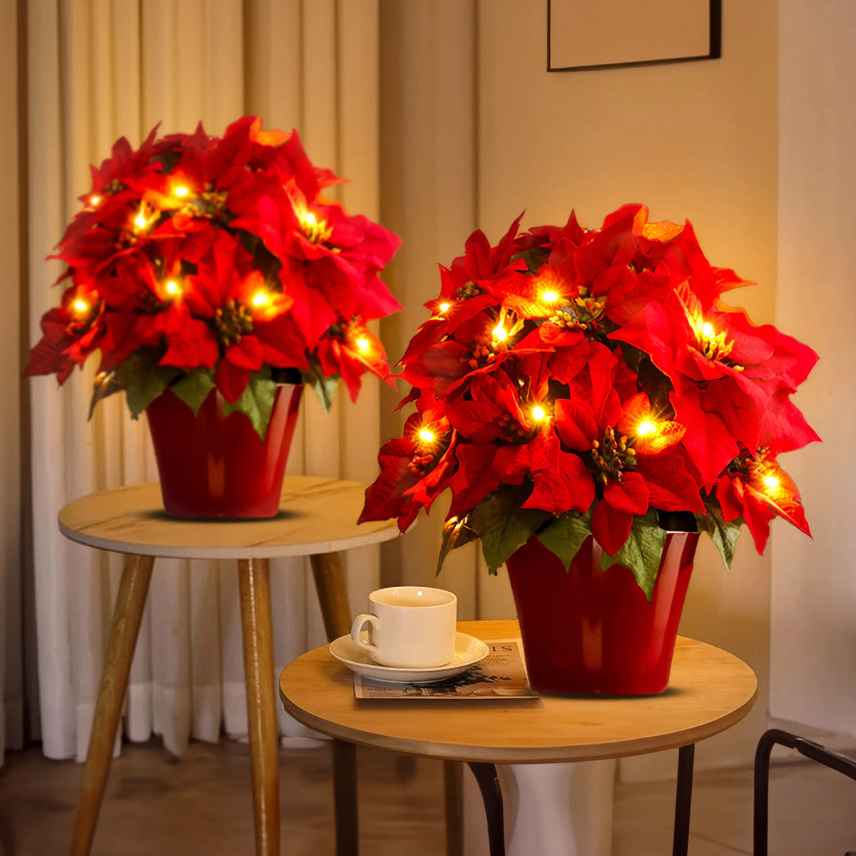 🎄✨Radiant Ruby Poinsettia