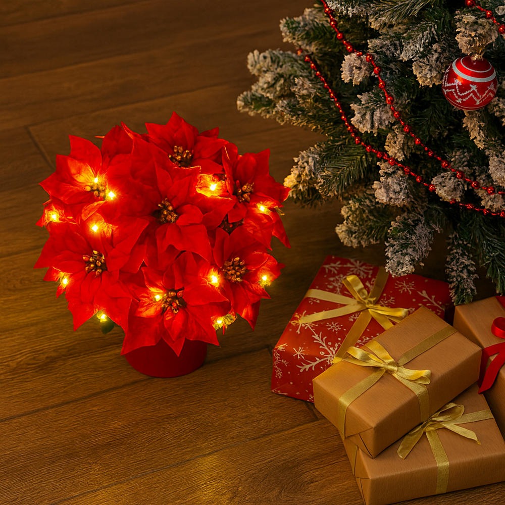 🎄✨Radiant Ruby Poinsettia