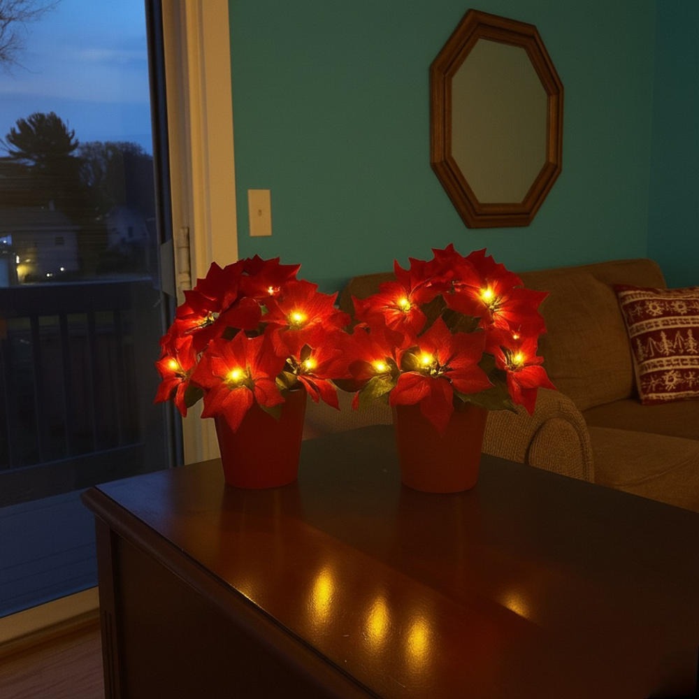 🎄✨Radiant Ruby Poinsettia